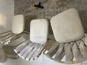 Upholstery and Carpet Cleaning