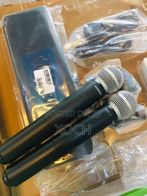 Shure BLX Wireless Microphone