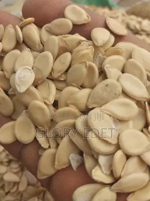 Unpeeled Melon Seeds