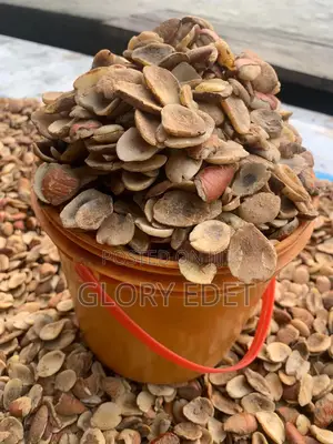 Ogbono Seeds