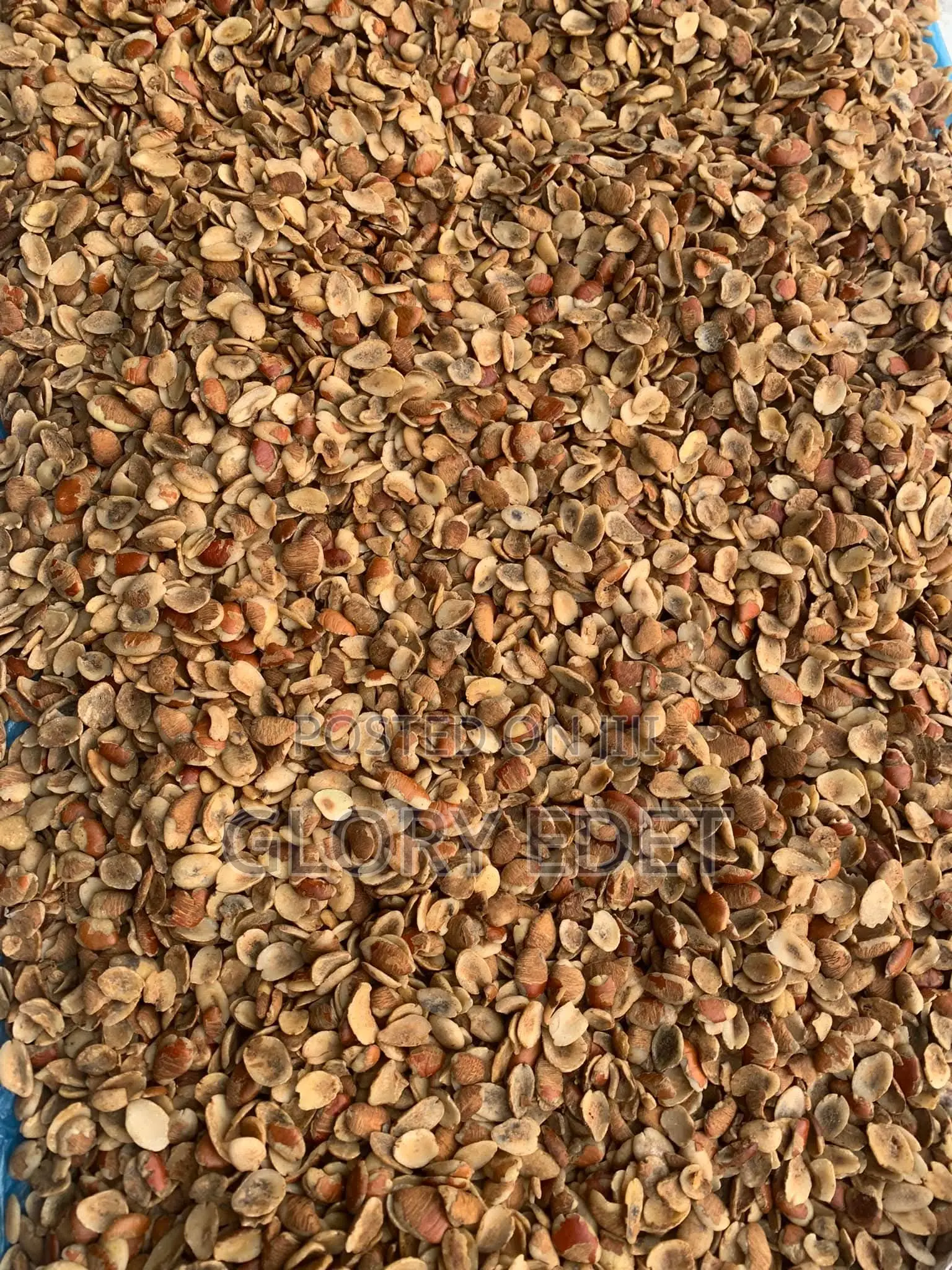 Ogbono Seeds