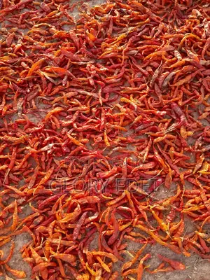 Dried Chilli Pepper