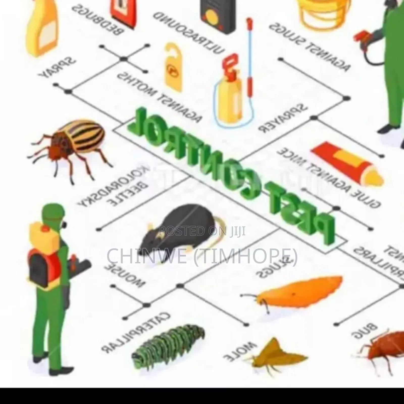 Fumigation and Cleaning Services