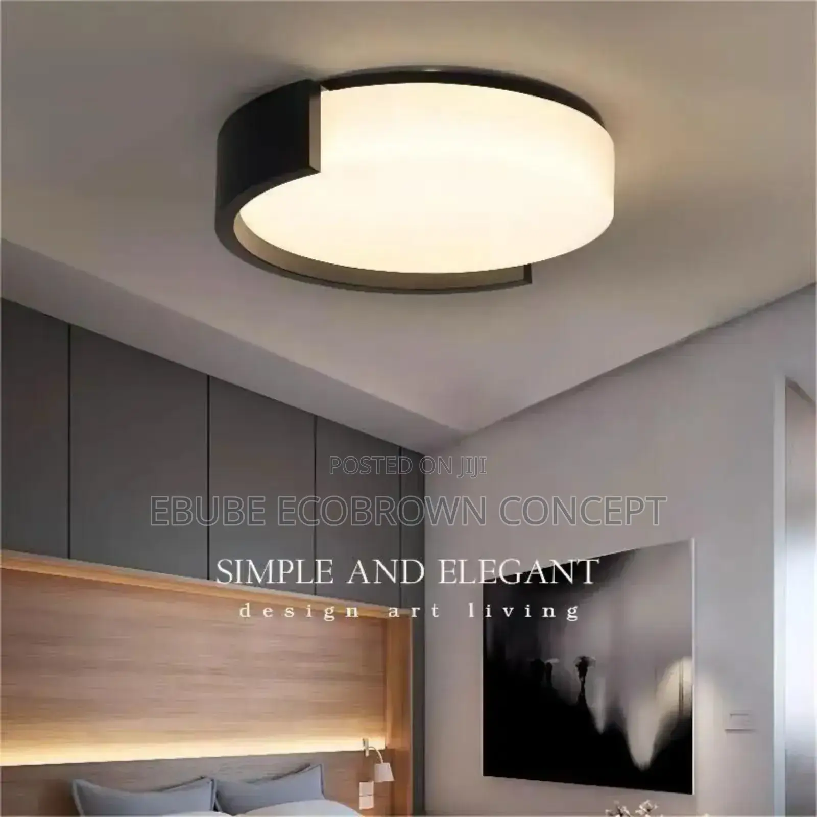 Elegant Ceiling Flush Fitting Light