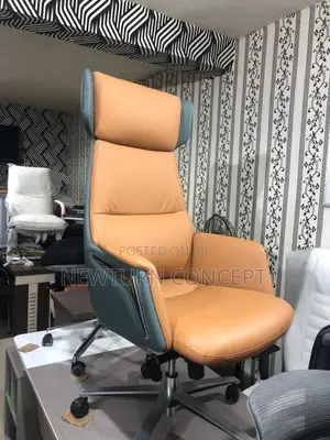 Director Executive Office Chair