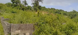 A Plot of Land at Ayegun Oleyo for Sale