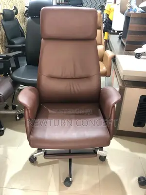 Director Executive Office Chair