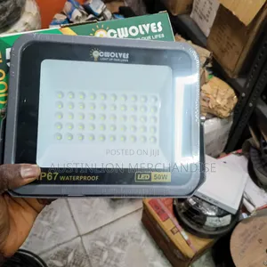 Security Floodlight