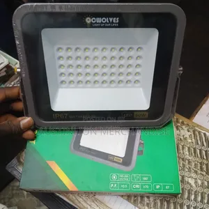 Security Floodlight