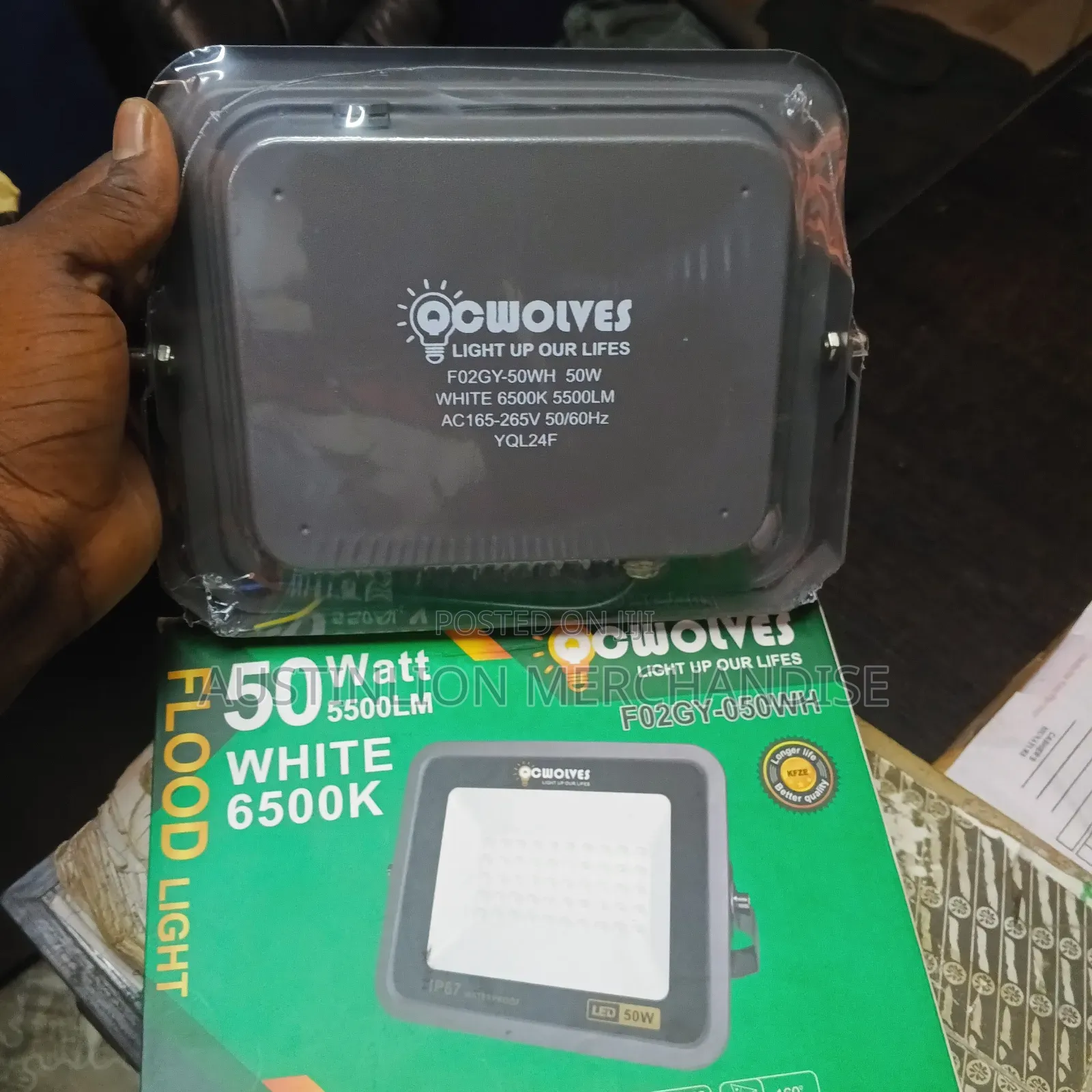 Security Floodlight