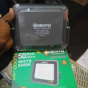 Security Floodlight