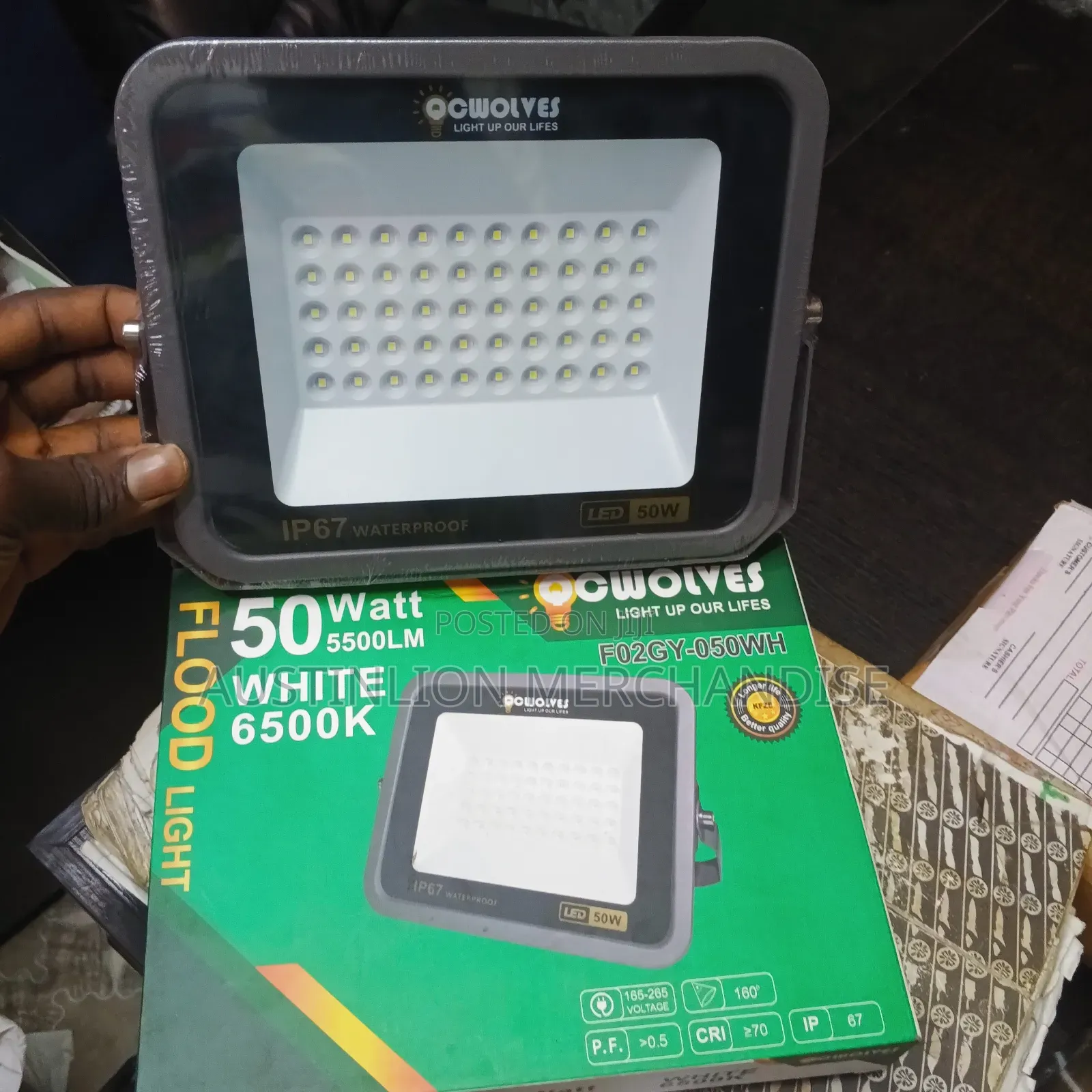 Security Floodlight
