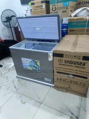 Fast-Freezing Chest Freezer Bd-308 Snowsea 220l
