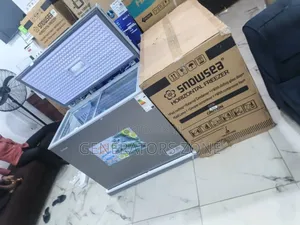 Super Large Chest Freezer
Snowsea Bd-308 220