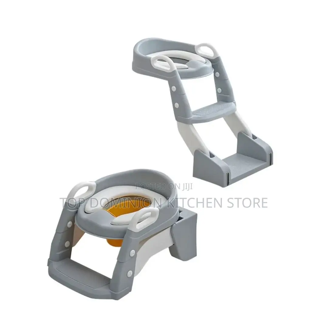 2in 1 Potty Ladder