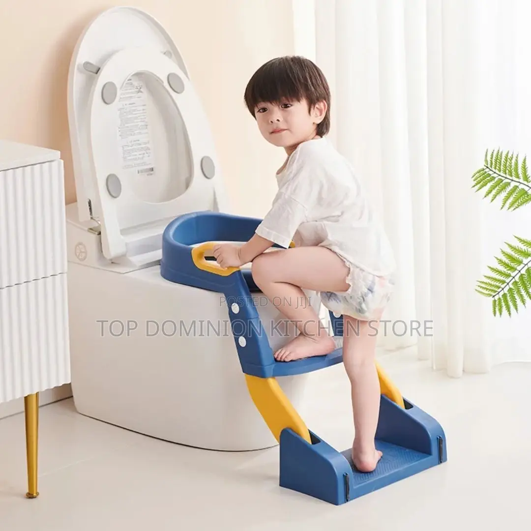 2in 1 Potty Ladder