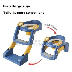 2in 1 Potty Ladder