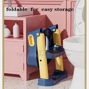 2in 1 Potty Ladder