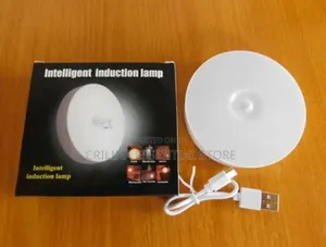 Body Motion Sensor Rechargeable Smart Night Light