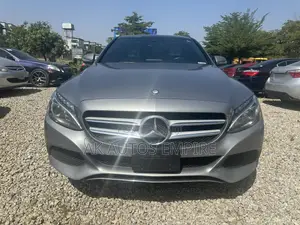 Mercedes-Benz C-Class C 300 4MATIC (W205) 2015 Gray