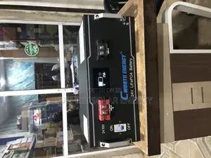 Cworth Lithium Battery 2.5kwh 24v 5yrs Warranty