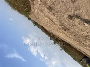 One Plot of Land