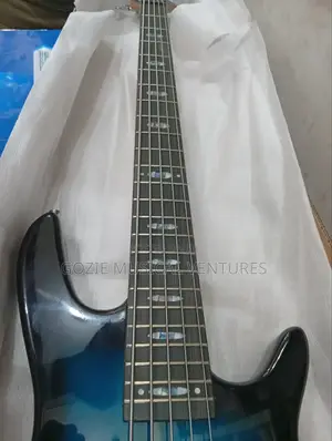 Five String Aivarez Bass Guitar With Amazing Sound