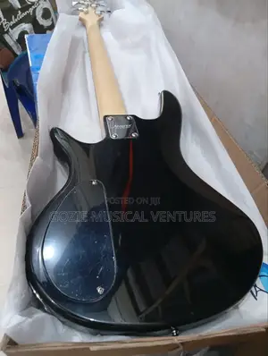 Five String Aivarez Bass Guitar With Amazing Sound