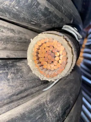 Armored Cable