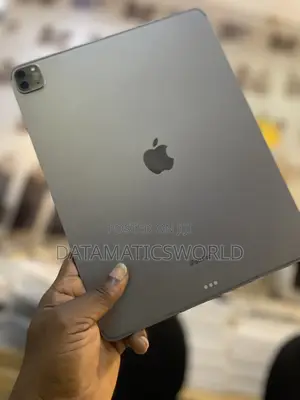 Apple iPad Pro (2022) 1 TB Gray