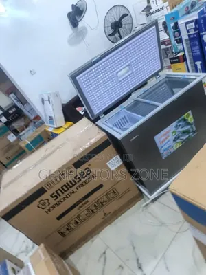 Fast-Freeze Commercial Freezer Snowsea Bd-308 220l