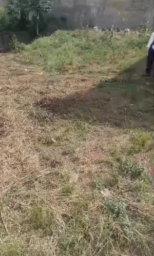 For Sale: 1.3 Hectares Estimated* *Document Fcda R of O