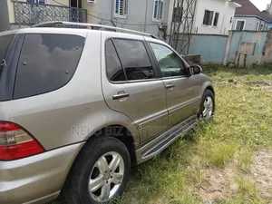 Mercedes-Benz M Class ML 350 2003 Gray