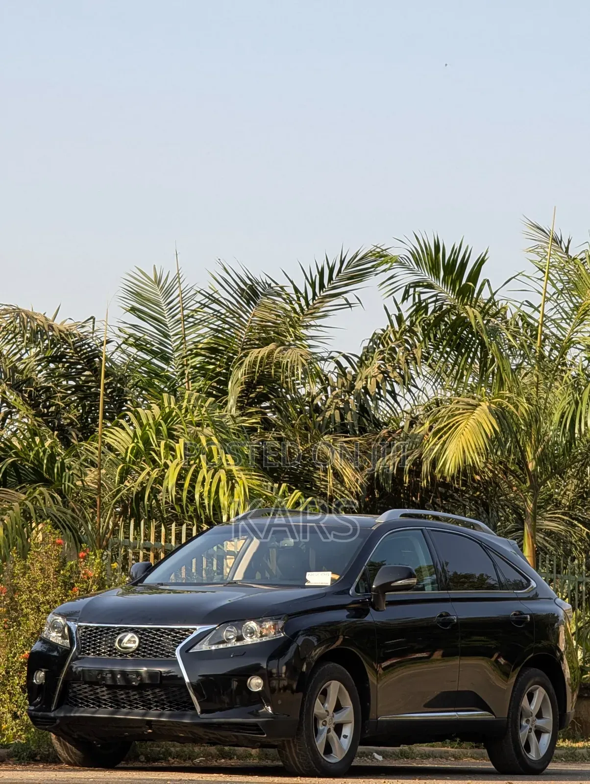 Lexus RX 2011 Black