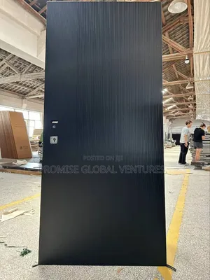 Plain Isreallie Security Door