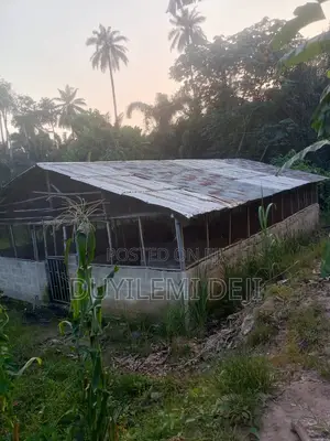Pig Farm House on a Two Plot of Land