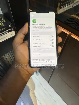 Apple iPhone 11 Pro Max 64 GB Gray