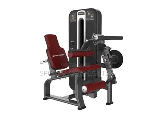 Leg Curl/Leg Extension
