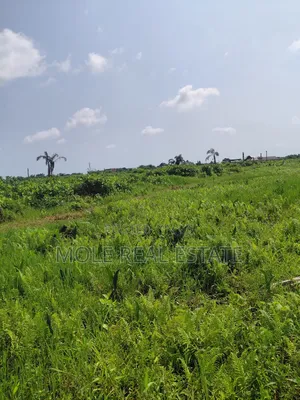 Distress Half Plot Ijegemo Interlocked New Road
