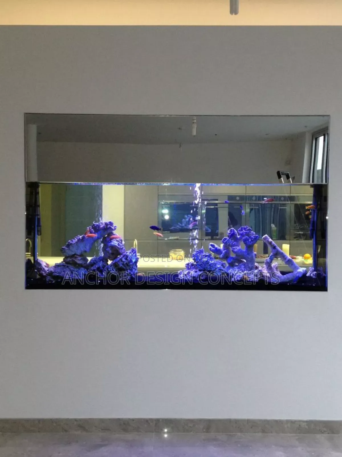 Beautiful in-Wall Aquarium