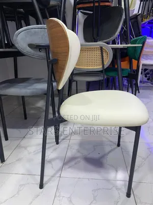 Dinning Chair / Relaxing Chair