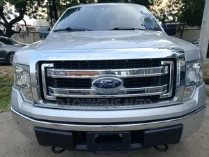 Ford F-150 FX4 2013 Silver