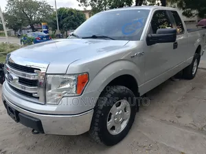 Ford F-150 FX4 2013 Silver