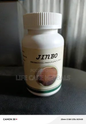 Promoting Pregnancy Herbal Care Jinbo
