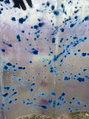 Dots Pattern Transparent Roofing Sheets