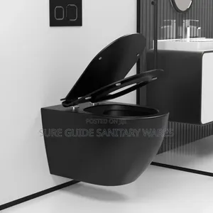Rimless Matt Black Conceal Watercloset