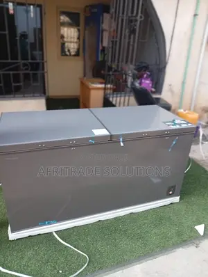Hisense Fc-66dd 500l Dual Door Freezer – Space-Saving