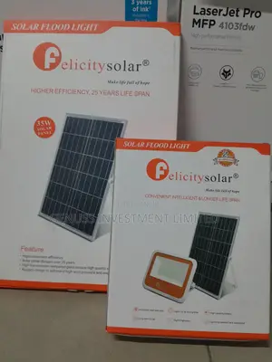 Felicity Hpfl10003 100w Outdoor Solar Lamp and Panel