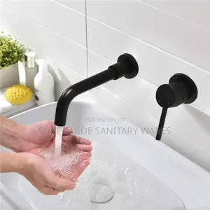 Black Conceal Basin Faucet