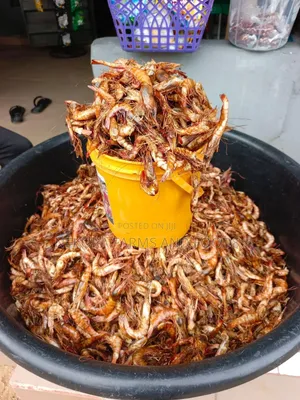 Dried Oron Prawns